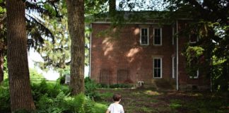 Aranżacja domowej biblioteczki