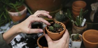 Prowadzić zdrowy tryb życia