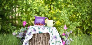 Piękny ogród dla bogatych i leniwych